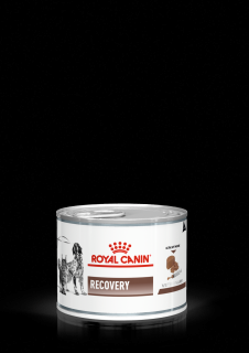 Royal Canin Recovery Dog and Cat - 195 g