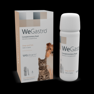 WeGastro - 60 ml