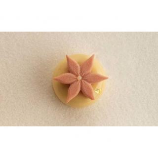 Forma Silicon Decor Top Insertie, Corollas Floral O 4.5 x H 0.6 cm, 15 cavitati, 4 ml
