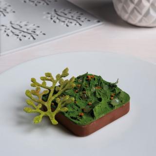 Forma Silicon Gourmand Bonsai 8 x 5.5 x H 0.2 cm, 8 cavitati