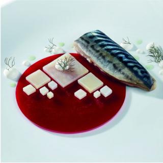 Forma Silicon Gourmand Disc mare O 11 x H 0.35 cm, 6 cavitati