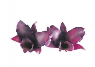 Orhidee Chinezeasca Mare - Decupatoare Plastic O 5.5 - 7.5 cm, Set 3 Buc