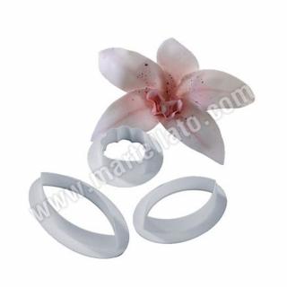 Orhidee Cymbidium - Decupatoare Plastic O 4.1 - 8.5 cm, Set 3 Buc