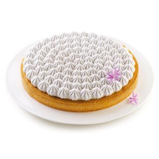 Set Tarte Meringue O 25 cm, 1 Rama Microforata + Forma Silicon