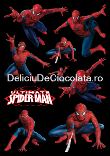 Vafa imprimata SpiderMan Model 3, 9 Decoruri O 4 - 12 cm, A4