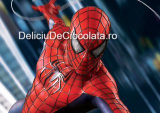 Vafa imprimata SpiderMan Model 8, A4