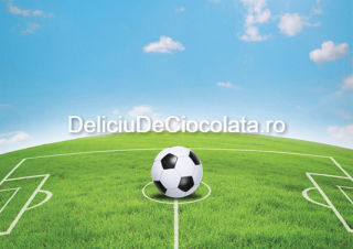 Vafa imprimata Teren Fotbal Model 1, A4