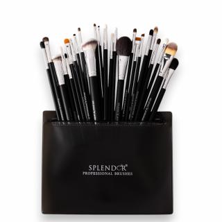 Set 25 Pensule Profesionale SPLENDOR All You Need, Par Fibre Moi Sintetice, Capra, Ponei + Borseta