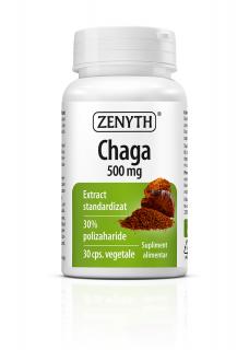 Chaga 500 mg (Actiune imunomodulatoare, imunostimulatoare si antialergica.)