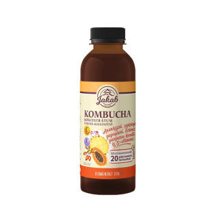 Concentrat KOMBUCHA cu extract de Echinacea purpurea si vitamina C, 500 ml