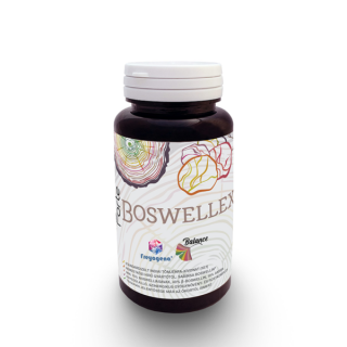 Forte Boswellex,, 60 capsule(antiinflamatoare, antireumatica, antitumorala)