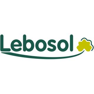 Adjuvant pentru stoparea spumei LEBOSOL SCHAUMSTOPP PRO
