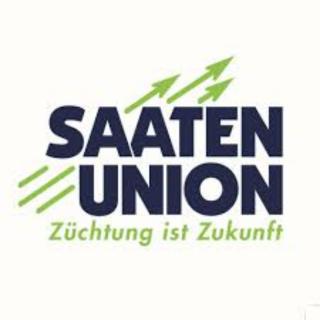 Amestecuri culturi verzi (mustar 71% + facelia 29%) VITERRA MP
