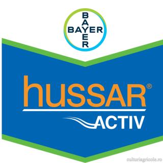 Erbicid cu actiune sistemica postemergent HUSSAR ACTIV PLUS OD