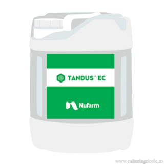 Erbicid cu actiune sistemica postemergent TANDUS