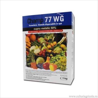 Fungicid cu actiune de contact CHAMP 77 WG
