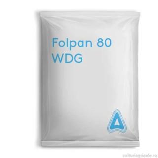 Fungicid cu actiune de contact FOLPAN 80 WDG