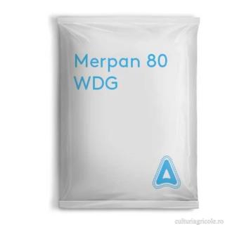 Fungicid cu actiune de contact MERPAN 80 WDG