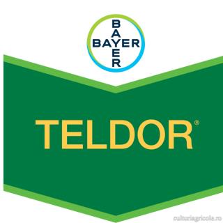 Fungicid cu actiune de contact TELDOR 500 SC