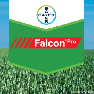 Fungicid cu actiune sistemica FALCON PRO