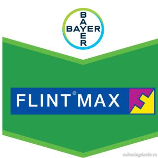 Fungicid cu actiune sistemica FLINT MAX 75 WG