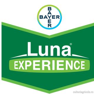 Fungicid cu actiune sistemica LUNA EXPERIENCE 400 SC