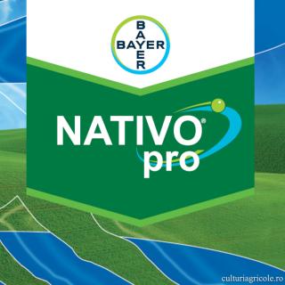 Fungicid cu actiune sistemica NATIVO PRO 325 SC