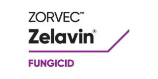 Fungicid cu actiune sistemica pentru 4 ha ZORVEC ZELAVIN BRIA