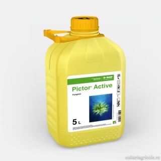 Fungicid cu actiune sistemica PICTOR ACTIVE