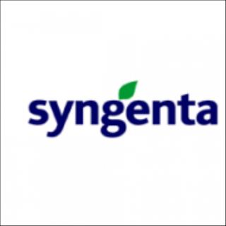 Fungicid cu actiune sistemica si de contact RIDOMIL GOLD COMBI