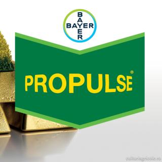 Fungicid cu actiune sistemica sistemic PROPULSE 250 SE