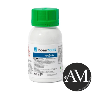 Fungicid cu actiune sistemica TOPAS 100 EC