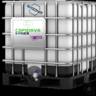 Ingrasamant chimic lichid starter SYNERTECH CAPIDAVA