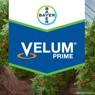 Nematocid si fungicid cu actiune sistemica VELUM PRIME 400 SC