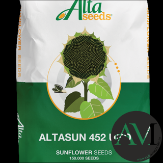 Seminte floarea soarelui conventional semi-tardiv ALTASUN UHO 452