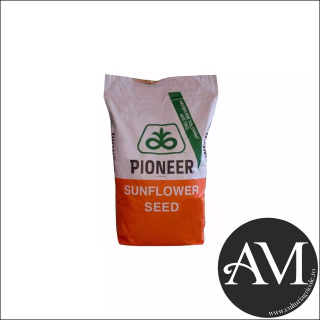 Seminte floarea soarelui conventional semi-timpuriu P64LL125