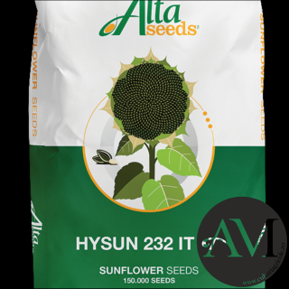 Seminte floarea soarelui high oleic semi-tardiv HYSUN 232 IT HO tehnologie PULSAR