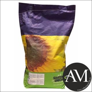 Seminte floarea soarelui high oleic semi-tardiv SUNTEC HO CL tehnologie PULSAR