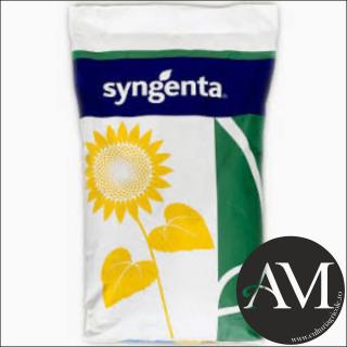 Seminte floarea soarelui semi-timpuriu FERGUS CLP tehnologie PULSAR PLUS