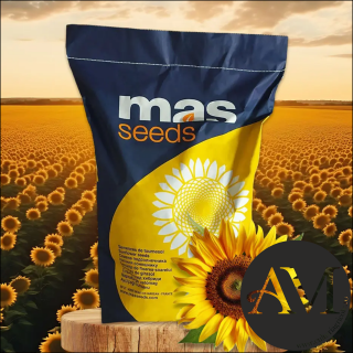 Seminte floarea soarelui semi-timpuriu linoleic MAS 83.SU tehnologie EXPRESS