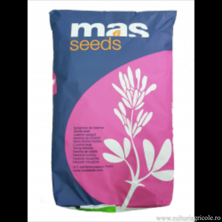 Seminte lucerna MAS ALFA 6
