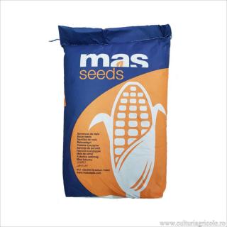 Seminte porumb MAS 37.C grupa FAO 370