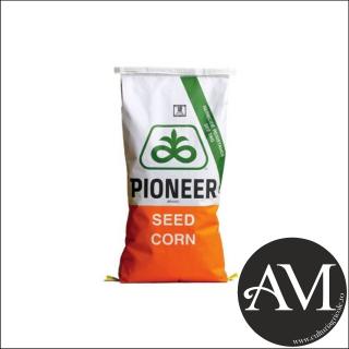Seminte porumb P95126 grupa FAO 330