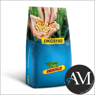 Seminte porumb semi-tardiv DKC5182WX grupa FAO 400-440