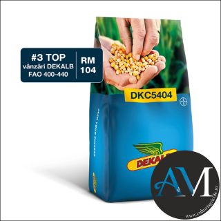 Seminte porumb semi-tardiv DKC5404 grupa FAO 400-440