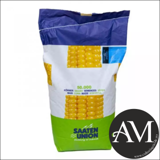 Seminte porumb SEMPER grupa FAO 400