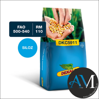 Seminte porumb tardiv DKC5911 grupa FAO 500-540