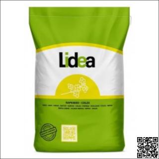 Seminte rapita semi-tardiv LID TEBO Integral Pro