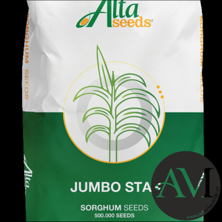Seminte sorg sermi-tardiv JUMBO STAR