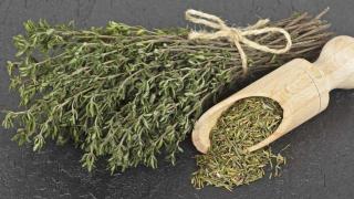 Cimbru (Thymus vulgaris) ,0.3 g seminte